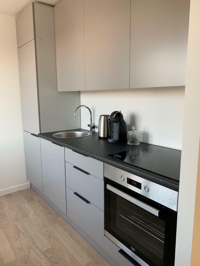 Good Night Apartaments Panevėžys Extérieur photo